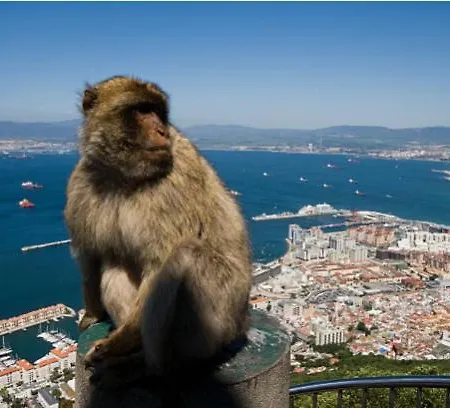 Apartment Paseo Maritimo De