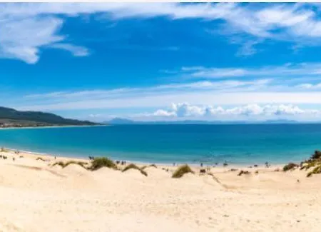 Paseo Maritimo De Lejlighed *