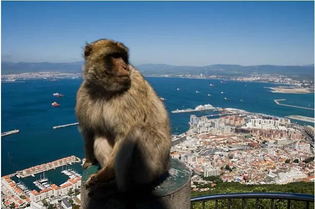 Appartement Paseo Maritimo De